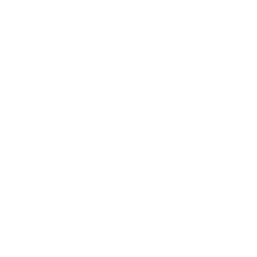 Language
